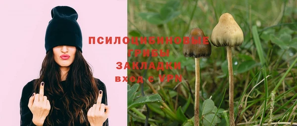 СК Балабаново