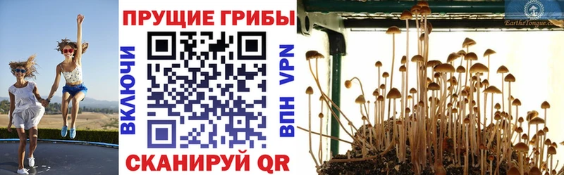 Псилоцибиновые грибы мухоморы  мега онион  Яхрома 